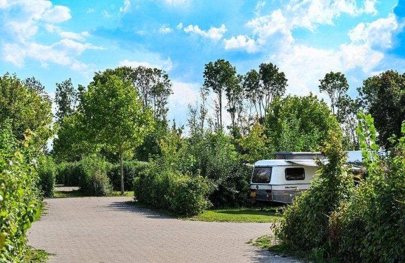 Kamperen binnenplaats 99